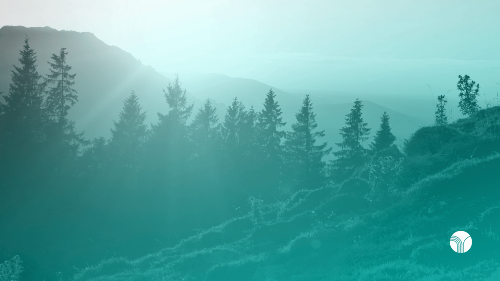 Eigenverantwortung bedeutet Zukunftsfähigkeit.